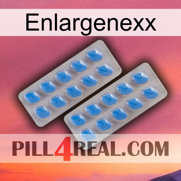 Enlargenexx 23.jpg